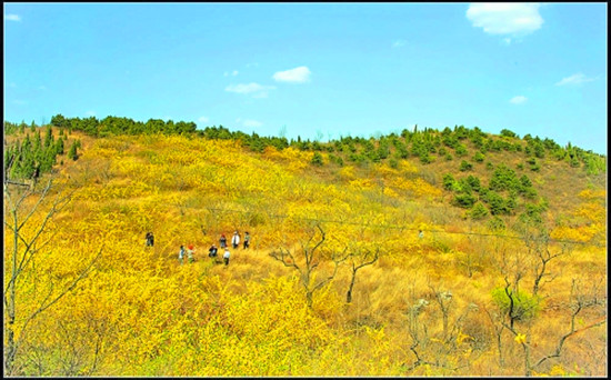 �B�N���_ӭ����һ֧ ʡ��(n��i)�p�B�NĿ�ĵ�