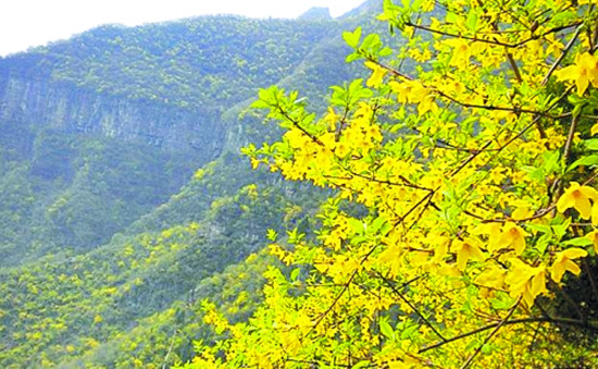 ��ĩ�Pɽ�p�B�N �TƱ�H��30Ԫ