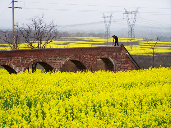 �����p����·����