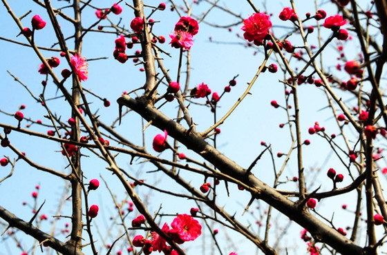 �����p����·����