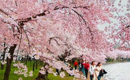 ꖴ����� �����͎������M�L����