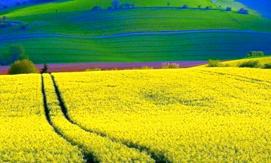 ꖴ����� �����͎������M�L����