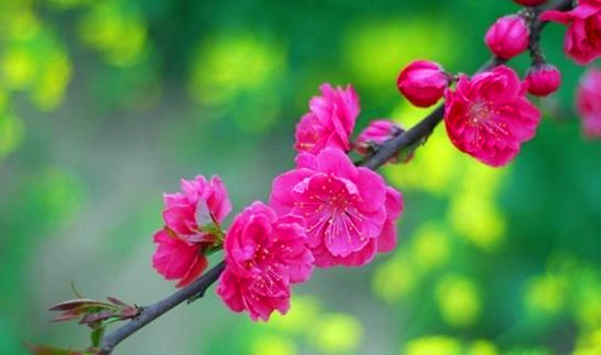 �(y��ng)������ ��(��i)���͎������M�L(zh��ng)����