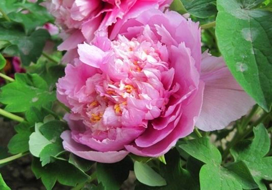 ꖴ����� �����͎������M�L����