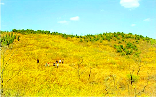 �B�N�S���e���������Pɽ��ȥ~~