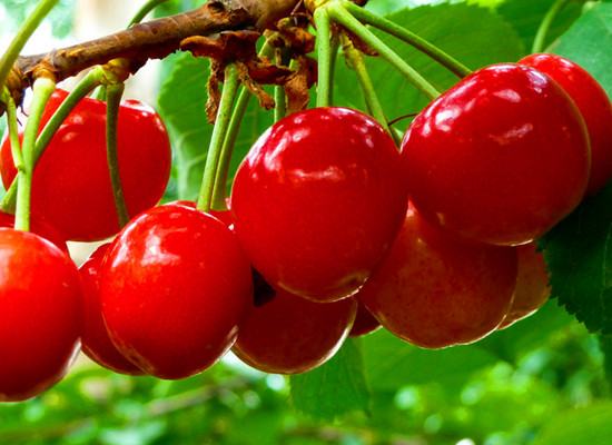 ����(l��i)ϲ���� �p���S����