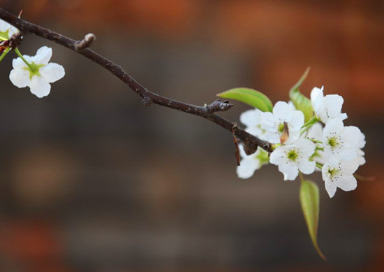 ����(l��i)ϲ���� �p���S����