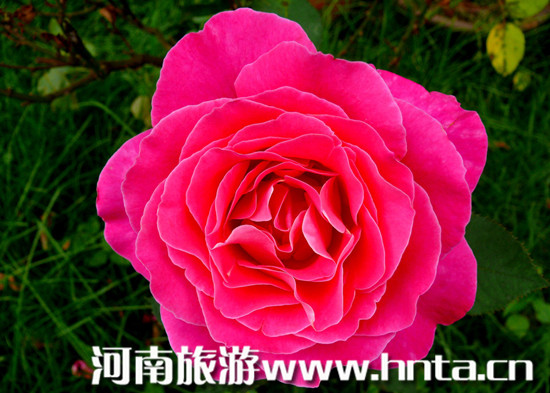 �����¼���