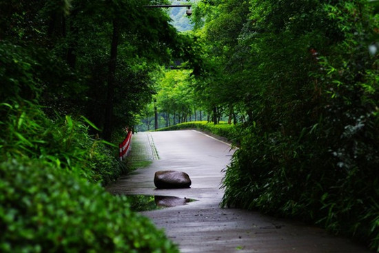 һ���ˣ�һ�����������������M�r�g&mdash;&mdash;����