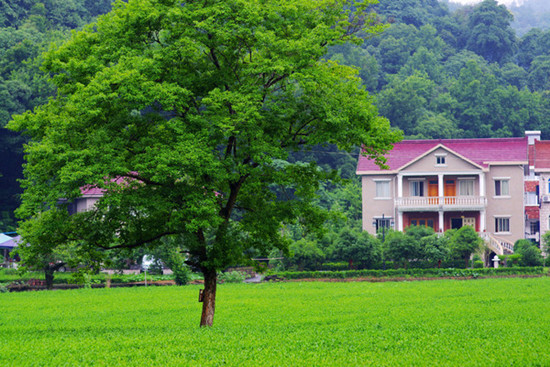 һ������һ�����������������M�r�g&mdash;&mdash;����