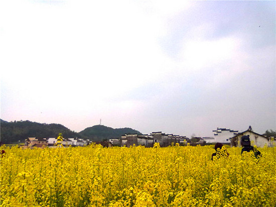 ��Դ������(ji��)����������