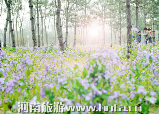 ����̤���ȥ̎ �G���@��ϲӭ�e