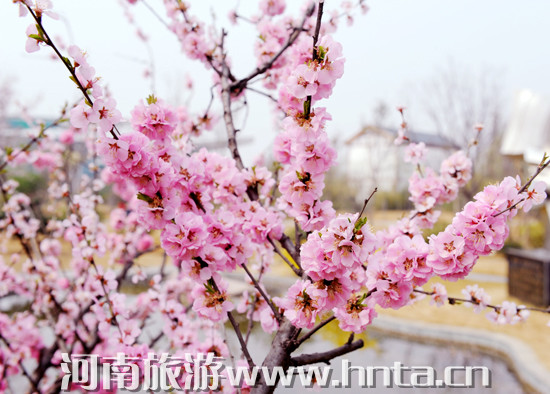 ����̤���ȥ̎ �G���@��ϲӭ�e