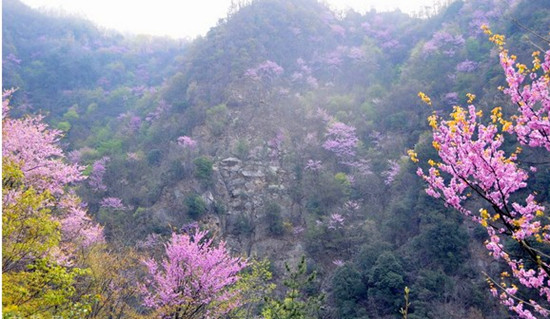 ���p���G�� ̤�����{�Ͼ���