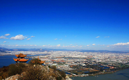 ���ǟo(w��)̎���w�� ����