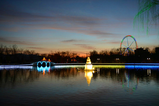 ���ǟo(w��)̎���w�� ��������