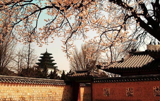 �҇�(gu��)����F(tu��n)�(du��)���n���Ό�(sh��)�F(xi��n)&ldquo;������&rdquo;