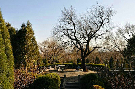 �U����� ����ͬ��&mdash;������