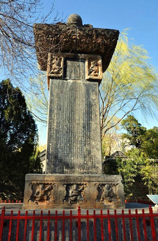 ������ �Ʊ�