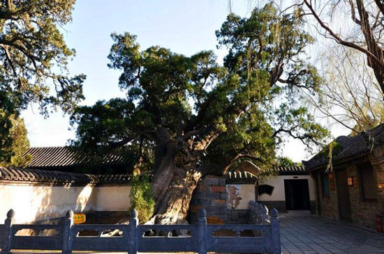 �U����� ����ͬ��&mdash;������ ��܊