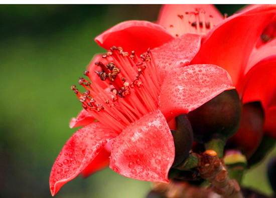 �V��ľ�޻� ���F���� ��������