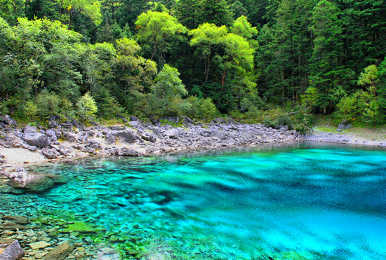 �Ĵ���կ�� ��(y��u)������ ��������