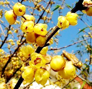 �紺�G���s��(hu��)����