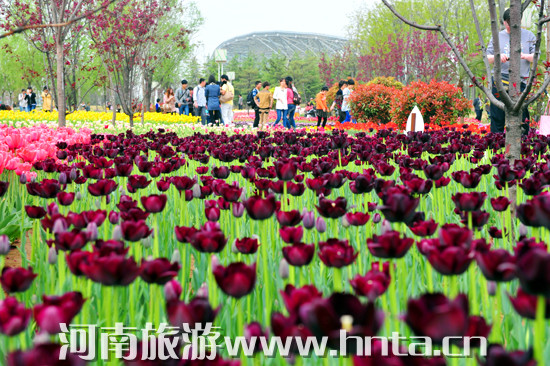 �紺�G���s������