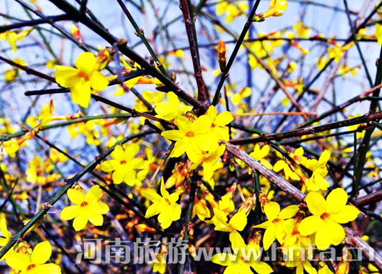 ��ĩ̤����  ������߅ ���{��