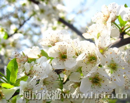 ��ĩ̤�� ������߅ ���{����