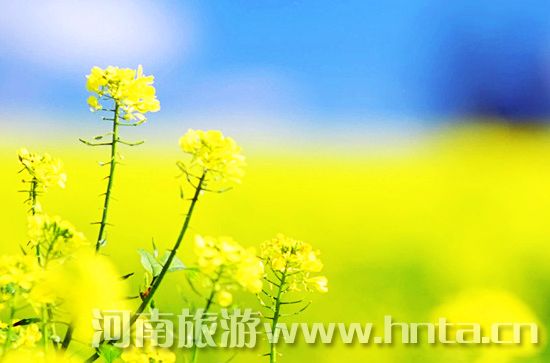 ��ĩ̤�� ������߅ ���{����