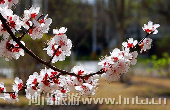 ��ĩ�p��  ������߅ ���{��