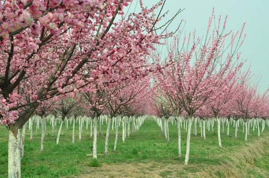 �S������ ۳�껨�@