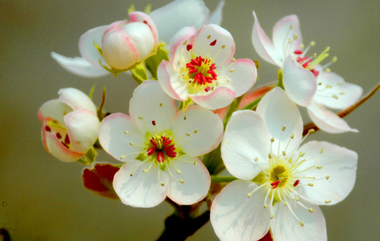 �����p��  �����p��  ��������