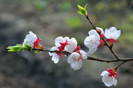 �����p��  �����p��  ��������