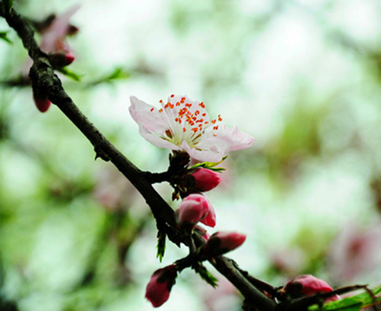 ������K��