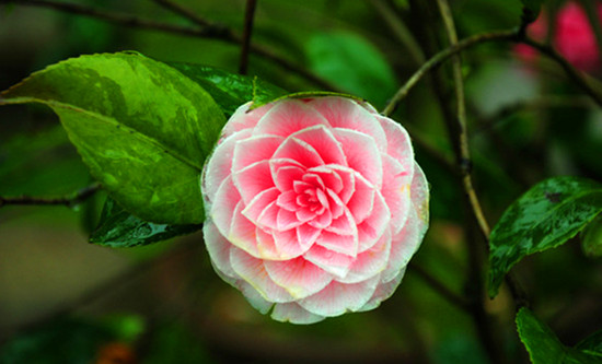 ������K��