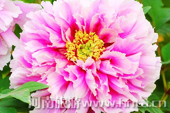 ���ĵ���Ļ���(ji��)����ȫ����