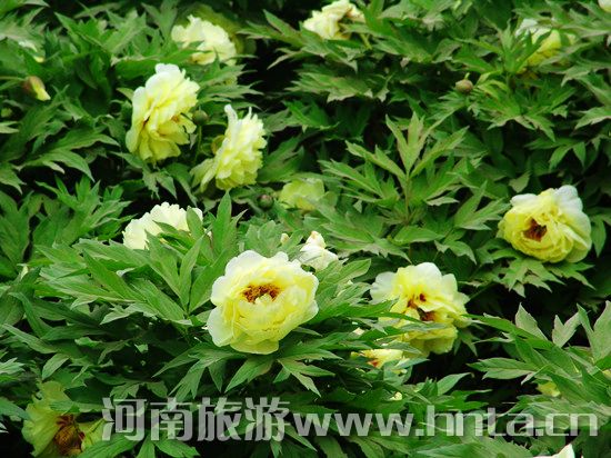 ���(y��ng)ĵ���Ļ���(ji��)����ȫ����