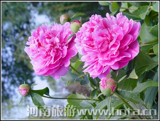 ���ĵ���Ļ���(ji��)����ȫ����