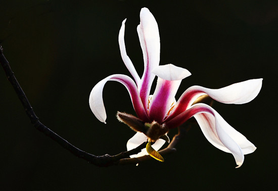 ���p���m��һ֦ ���m�^�p�����]