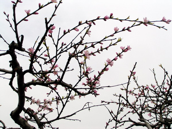 ��ꖃ�(n��i)�S�f���һ��`��������