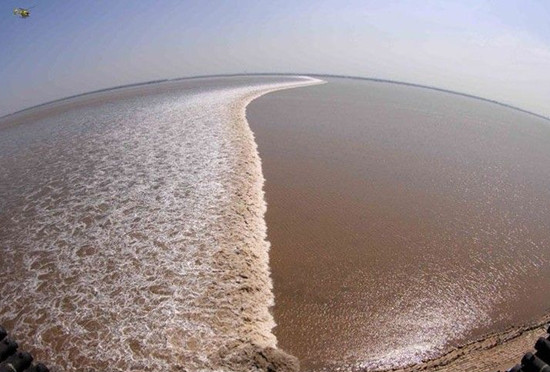 ��Ѵ����  (t��ng)���X(qi��n)����