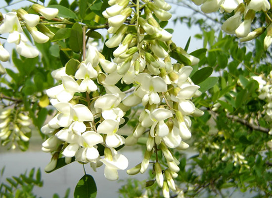 ���l(xi��ng)���֞�������һ�e�k�ڶ���&ldquo;���֞�������(ji��)&rdquo;