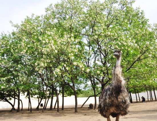 �p�l(xi��ng)����@�L(f��ng)�� Ʒ���һĨ������