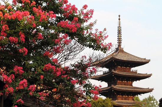 �Ї���������ߵ����M(f��i)�~ռ���ձ������M(f��i)�~���ķ�֮һ