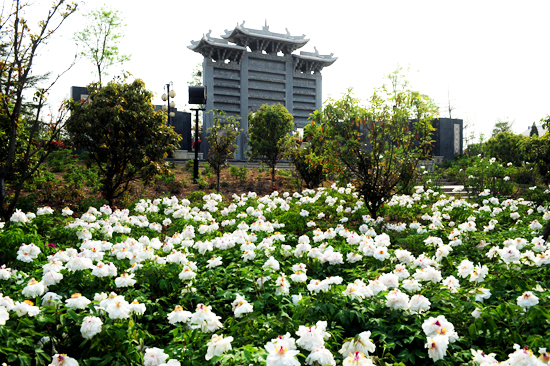 �f(w��n)��ĵ���c����s���ݾG���@