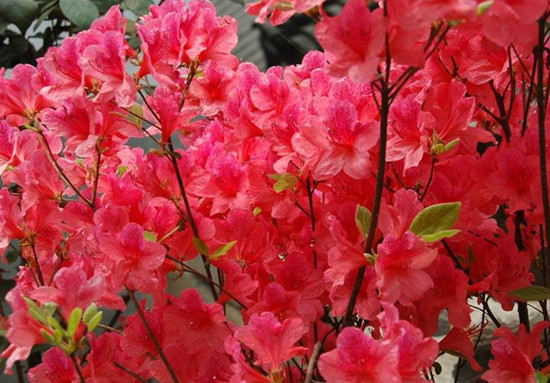 �_������ ��(gu��)��(n��i)���N���^�p�����]