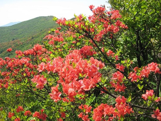 �_������ ����(n��i)���N���^�p�����]