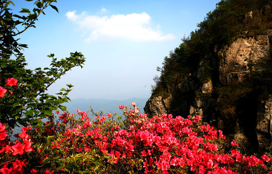 �_������ ����(n��i)���N���^�p�����]